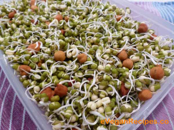 Mixed-Bean-Sprouts